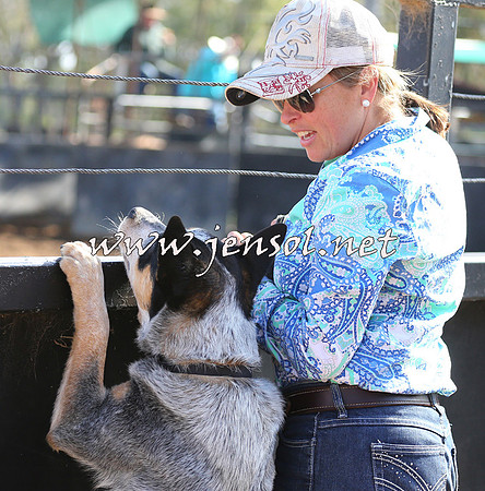 STBHTubbulCampdraft2015_0691