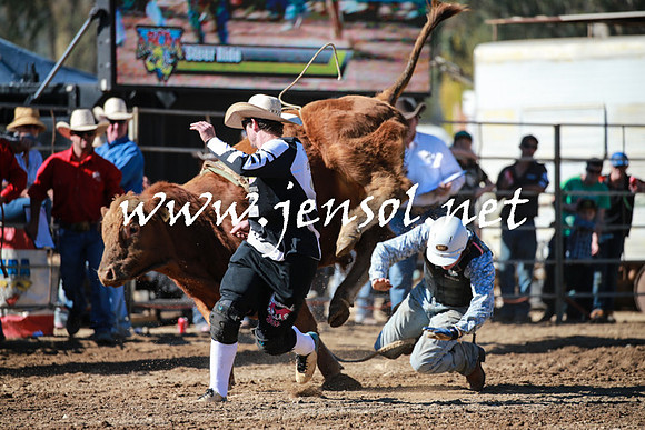 TumutRodeo2016Two_3140