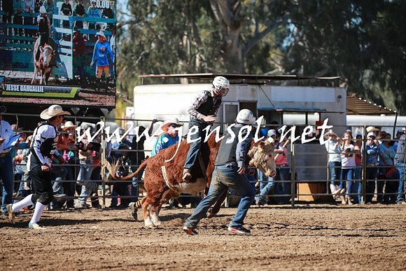 TumutRodeo2016Two_3196