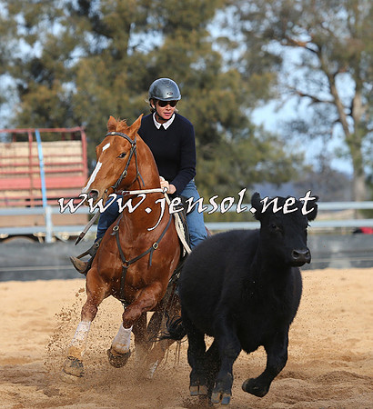 STBHTubbulCampdraft2015_0874