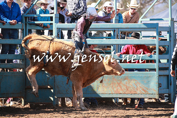 TumutRodeo2016Two_3108