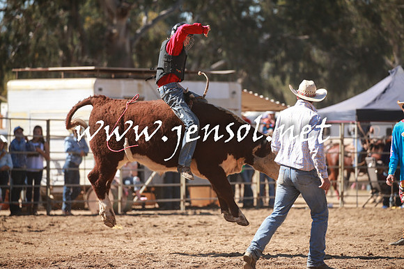 TumutRodeo2016_2843