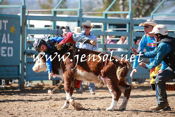 TumutRodeo2016Two_3047