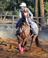 STBHTubbulCampdraft2015_0307