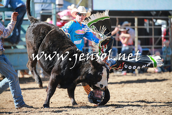 TumutRodeo2016Two_3082