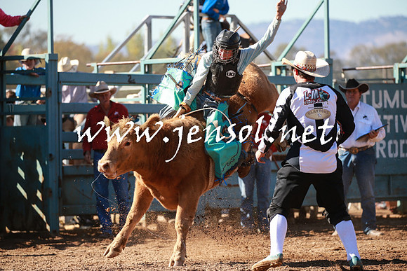 TumutRodeo2016Two_3175