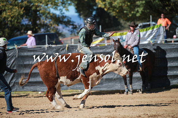 TumutRodeo2016Two_3228