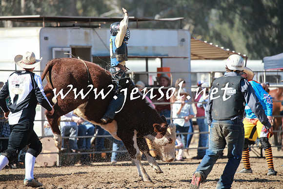 TumutRodeo2016Two_3280