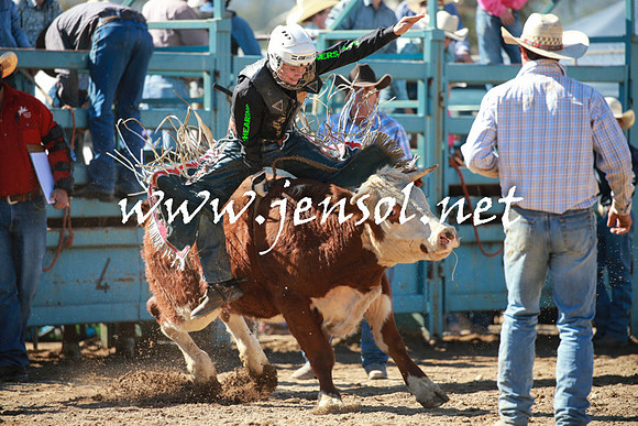 TumutRodeo2016_2796