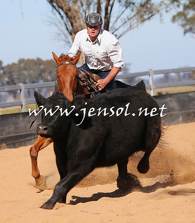 STBHTubbulCampdraft2015_0462