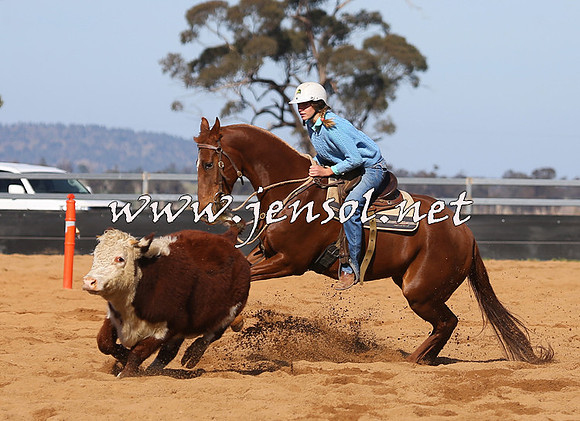 STBHTubbulCampdraft2015_0628