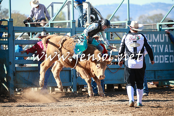 TumutRodeo2016Two_3165