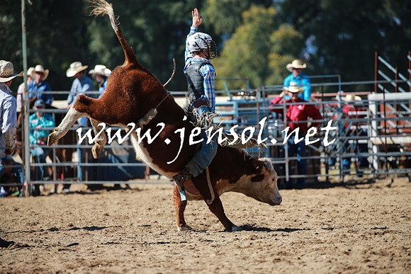 TumutRodeo2016_2761