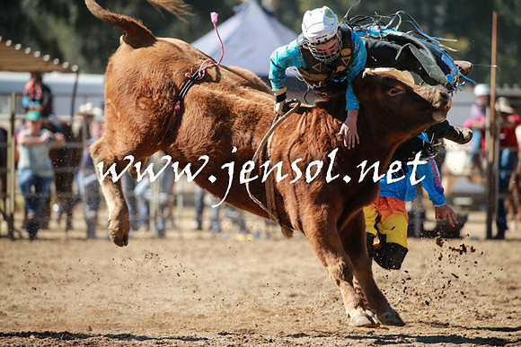 TumutRodeo2016_2618