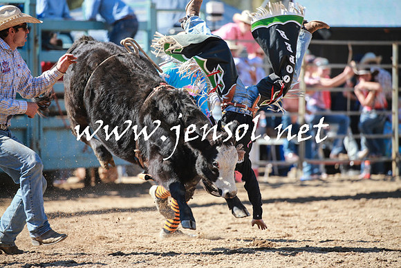 TumutRodeo2016Two_3078