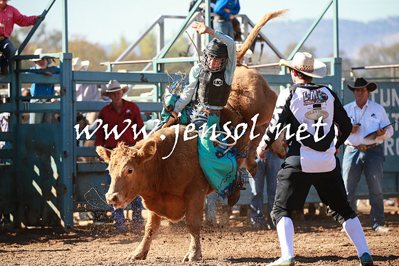 TumutRodeo2016Two_3177