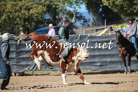 TumutRodeo2016Two_3223