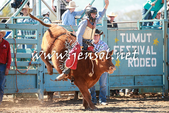 TumutRodeo2016_2702