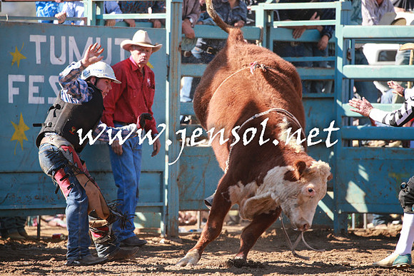 TumutRodeo2016Two_3207