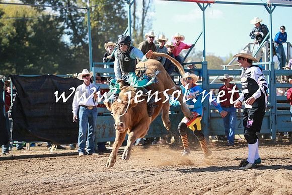 TumutRodeo2016Two_3182