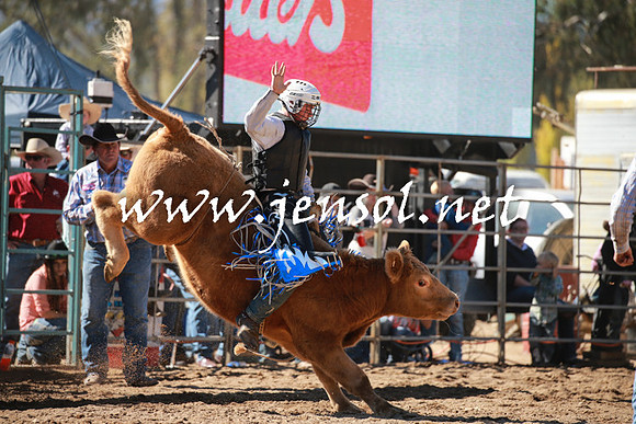 TumutRodeo2016_2599