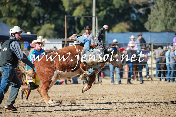 TumutRodeo2016Two_3300
