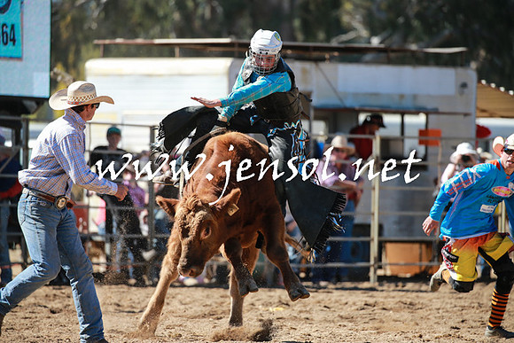 TumutRodeo2016_2615
