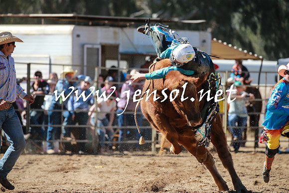 TumutRodeo2016_2612