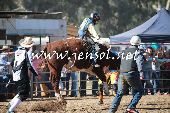 TumutRodeo2016Two_3273