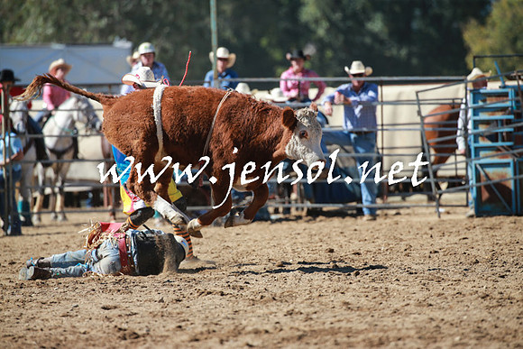 TumutRodeo2016_2524