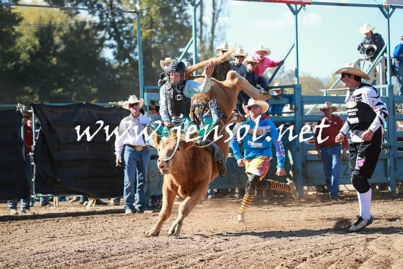 TumutRodeo2016Two_3181
