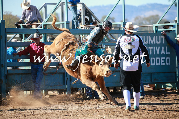 TumutRodeo2016Two_3163