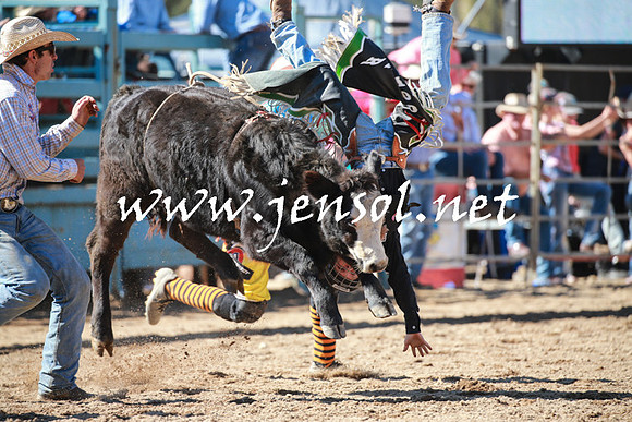 TumutRodeo2016Two_3083