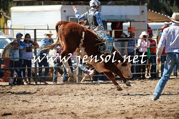 TumutRodeo2016_2752