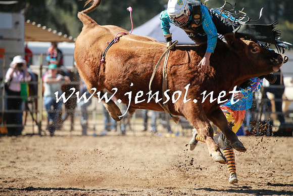 TumutRodeo2016_2617