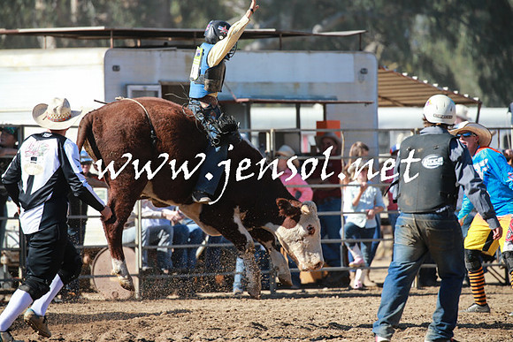 TumutRodeo2016Two_3279