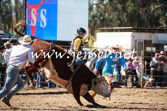 TumutRodeo2016_2776