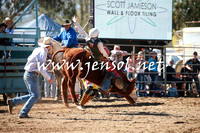 TumutRodeo2016_2404