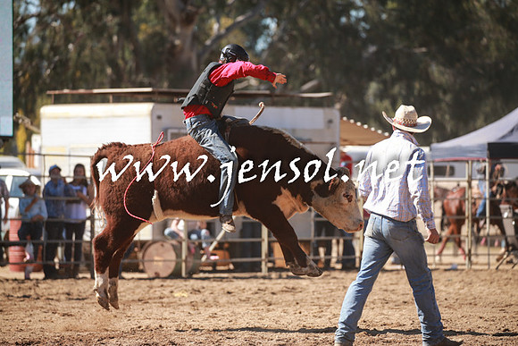 TumutRodeo2016_2844