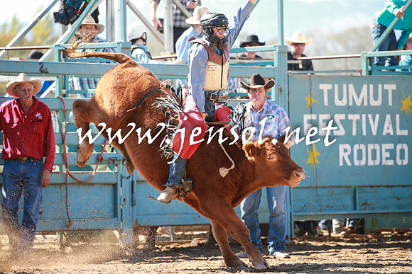 TumutRodeo2016_2706