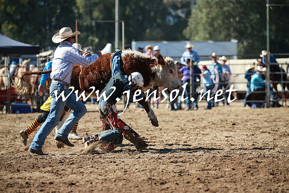 TumutRodeo2016_2431