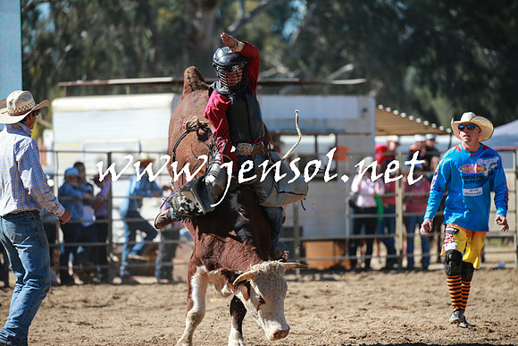 TumutRodeo2016_2815