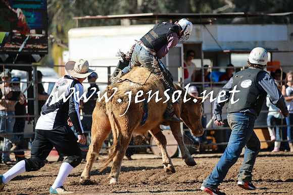 TumutRodeo2016Two_3111