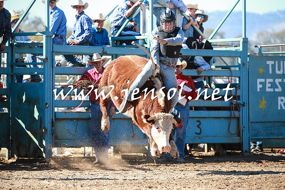 TumutRodeo2016Two_3245