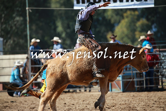 TumutRodeo2016_2665