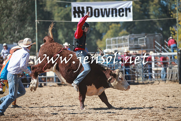 TumutRodeo2016_2860