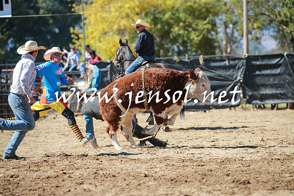 TumutRodeo2016_2505