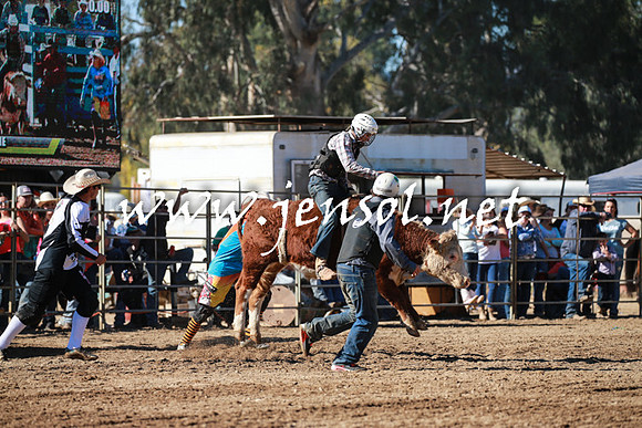 TumutRodeo2016Two_3198