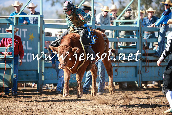 TumutRodeo2016Two_3154