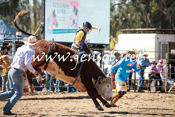 TumutRodeo2016_2766